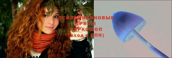 jwh Алзамай