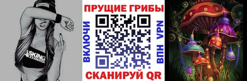 кракен ONION  цена   Октябрьский  Галлюциногенные грибы ЛСД 