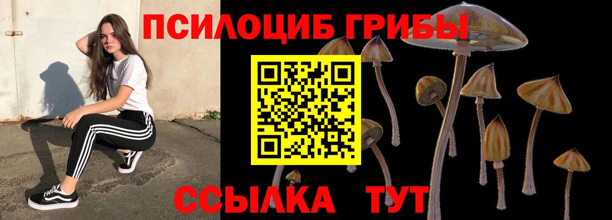 Псилоцибиновые грибы Magic Shrooms  Псилоцибиновые грибы Psilocybine cubensis  Вход с VPN  Октябрьский 